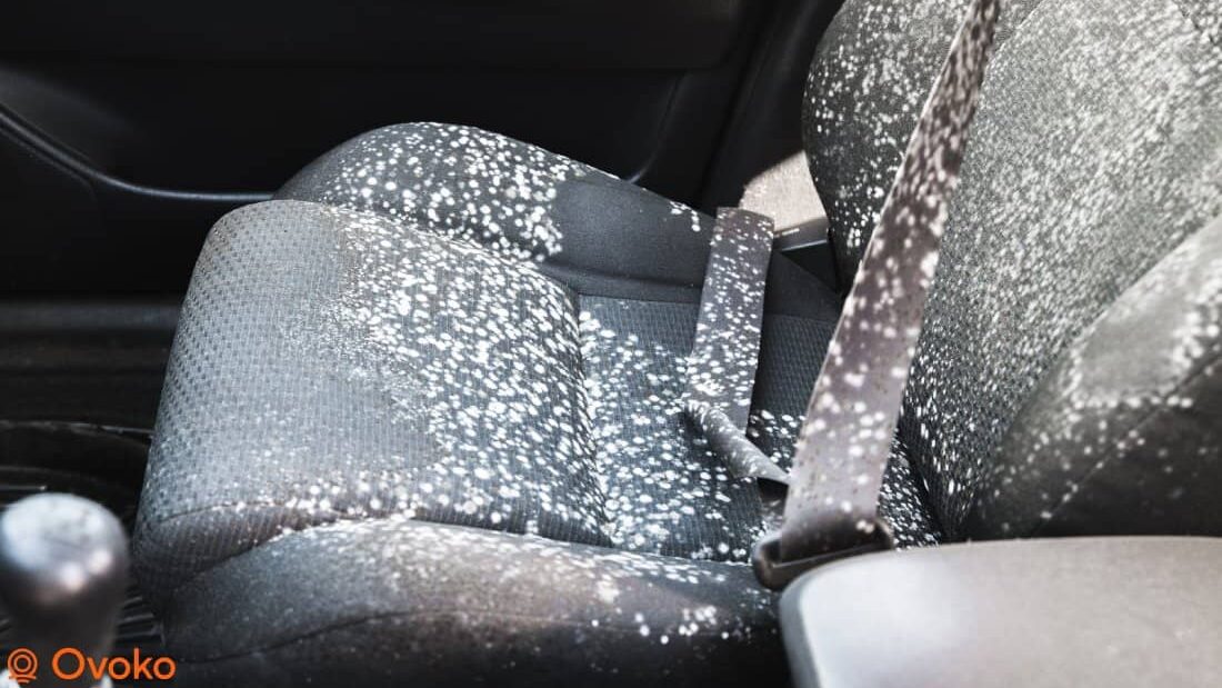 Feuchtigkeit im Auto