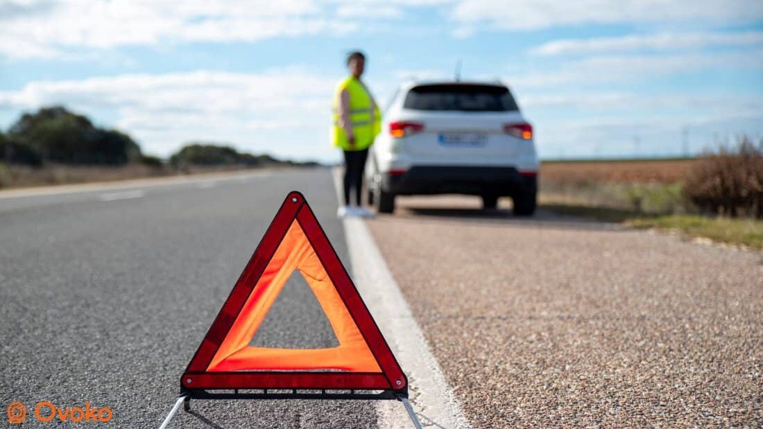 Motorkontrollleuchte verstehen