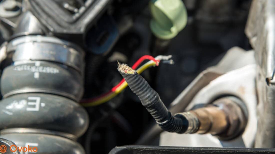 Auto startet nicht